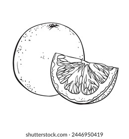 Hand drawn sketch linen grapefruit vector illustration on white background. Template for healthy eco nature organic products and cosmetics.