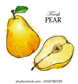 Hand drawn sketch linen pear watercolor vector illustration on white background. Template for healthy eco nature organic products and cosmetics.