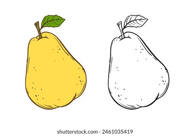 Hand drawn sketch linen pear black and white and color linen vector illustration on white background.