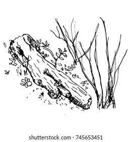 Hand Drawn Sketch Log on the Ground Vector Illustration