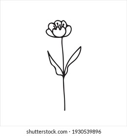 Hand drawn and sketch lotus flower, isolate on white background. A flower similar to a water lily on a stem with leaves. Botanical doodle sketch.
