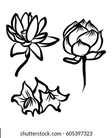 Hand drawn and sketch lotus flower ,isolate on white background