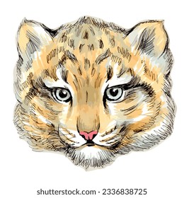 Hand drawn sketch markers illustration of leopard kitten isolated on white.