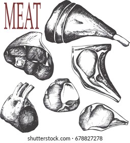 Hand drawn sketch meat products set. Vector black and white vintage illustration. Isolated object on white background. Menu design