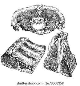 Hand drawn sketch meat set. Lamb meat slice, beef meat, lamb leg, ribs. Butcher shop product. detailed ink food illustration. Steak meat hand drawing on white background. 