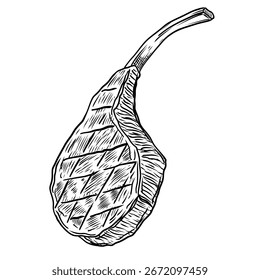 Hand Drawn Sketch of Meat Steak Vector Illustration