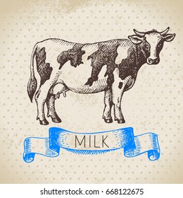 Hand drawn sketch milk products background. Vector black and white vintage illustration of cow