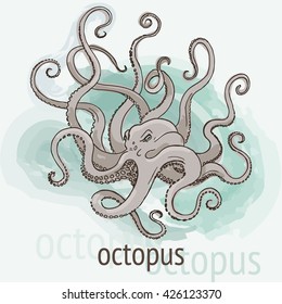 Hand drawn sketch of monster octopus. Watercolor vector illustration. 