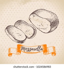 Hand drawn sketch Mozzarella cheese background. Vector illustration of natural milk foods