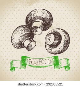 Hand drawn sketch mushrooms vegetable. Eco food background.Vector illustration