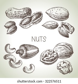Hand drawn sketch nuts set. Vector illustration of eco food