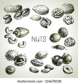 Hand drawn sketch nuts set. Vector illustration