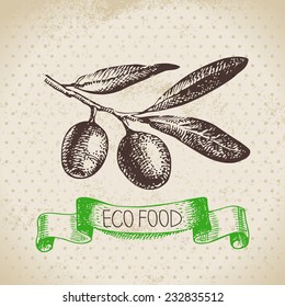 Hand drawn sketch olive vegetable. Eco food background.Vector illustration