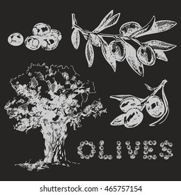 Hand drawn sketch olives set on black background. Olive oil. For labels, pack. Vector illustration.