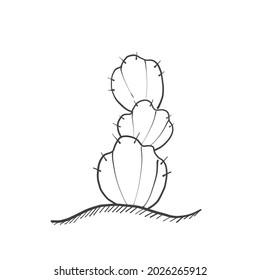 Hand drawn sketch, Opuntia Cactus tree on white background, 
outline monochrome ink style vector - Illustration.