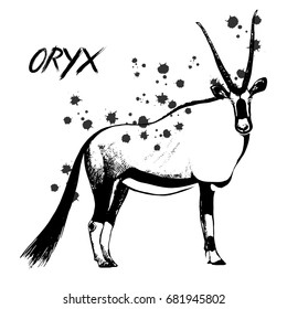 Hand drawn sketch of oryx. Vector illustration isolated on white background.