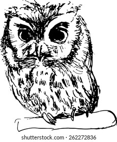 Hand drawn sketch of an owl vector illustration