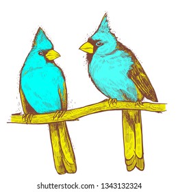 Hand drawn sketch a pair of birds. Beautiful pair of Red Cardinals on a branch in foliage. Grange illustration