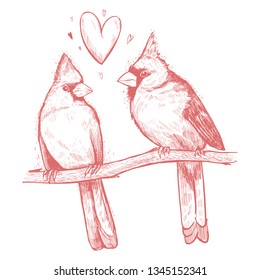 Hand drawn sketch a pair of birds. Beautiful pair of Red Cardinals on a branch in foliage. Grunge illustration