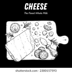 Hand drawn sketch of parmesan cheese on wooden board. Dairy farm products cheese. Engraved style