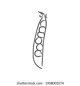 Hand drawn sketch peas sketch set. Vector organic food illustration isolated on white background. pea vector sketch illustration
