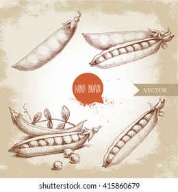 Hand drawn sketch peas sketch set. Vector organic food illustration on grunge vintage background. 