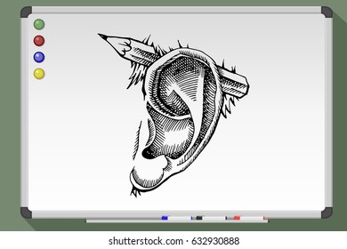 Hand drawn sketch of a Pencil behind an ear on white background. Vector illustration