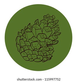 Hand drawn sketch of a pine cone on the green background. Vector illustration.