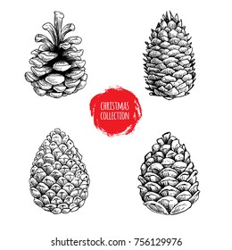 Hand drawn sketch pine cones set. Christmas collection isolated on white background. Vector illustrations.Great for seasonal holiday decor and greeting cards.