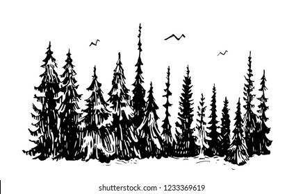 Strange Forestsilhouetteof Trees Hand Drawn Vector Stock Vector ...