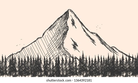 Hand drawn sketch of pine forest and mountains. Vector background.