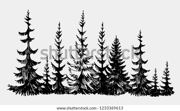 Hand Drawn Sketch Pine Forest Vector Stock Vector Royalty Free 1233369613 Shutterstock 