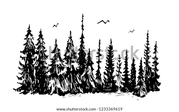 Hand Drawn Sketch Pine Forest Vector Stock Vector (Royalty Free) 1233369619