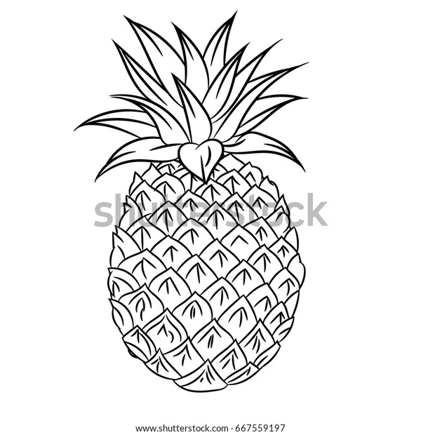 Featured image of post Pineapple Cartoon Images Black And White : Premium_level_id:0,meta_description:outline black and white image of a pineapple.