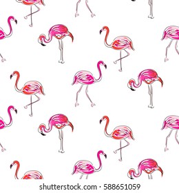 Hand drawn sketch pink flamingo seamless pattern vector. Exotic birds on white with outline strokes and hand painted coral brush strokes decoration.