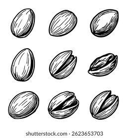 Dibujado a mano boceto de pistachos. Vector Boceto de nueces