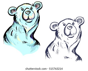 Hand Drawn Sketch Of Polar Bear Illustration Isolated On White Background. Vector Eps 8