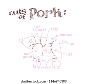 Hand drawn sketch of Pork cuts
