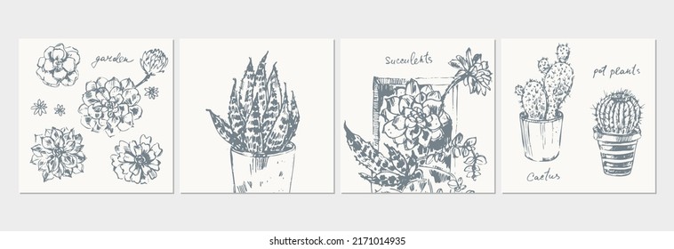 Hand drawn sketch of pot flowers succulent plants, cactus, floral arrangements. Pencil drawing graphics for poster, greeting card, nature decorative background.
