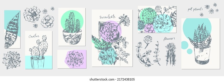 Esbozo dibujado a mano de flores de olla suculentas plantas, cactus, arreglos florales. Gráficos de dibujo de lápiz para afiche, tarjeta de saludo, fondo decorativo de la naturaleza.
