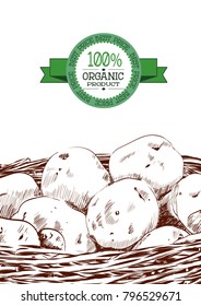 Hand drawn sketch of potatoes in a basket. Eco food vintage vector illustration