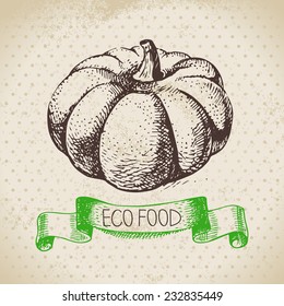Hand drawn sketch pumpkin vegetable. Eco food background.Vector illustration