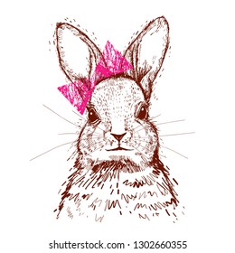 Hand drawn sketch Rabbit.
