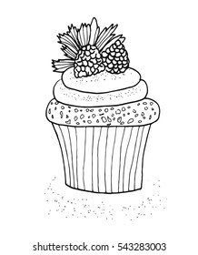 a hand drawn sketch of a raspberry cupcake in the modern style of a picture made by a pencil. A vector illustration isolated on white background