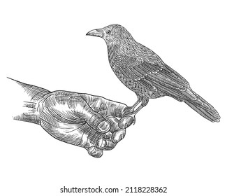 : Hand drawn sketch of hand and raven. Vintage Vector