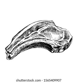 Hand drawn sketch of raw meat. detailed ink food illustration. Steak meat, hand drawing on white background. 