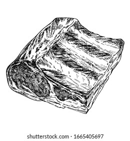Hand drawn sketch of raw meat. detailed ink food illustration. Ribs. Steak meat, hand drawing on white background. 