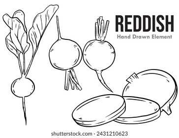 Dibujado a mano boceto de conjunto rojizo. Ilustración vectorial de verduras frescas exóticas de granja sobre un fondo blanco. arte lineal. tinta negra