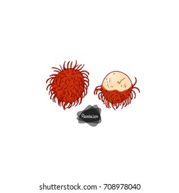 Hand drawn sketch ripe and half peeled rambutan on white background. Color illustration.