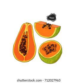 Hand drawn sketch ripe and half papaya and sliced  
 papaya on white background. Color illustration. 